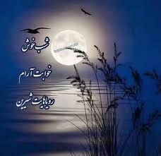 •ایرانگردی🇮🇷𐚁: شبتون خوش🙏🌼🌙خوبتون آرام🌼🌙رویا هاتون شیرین🌙@IiRan_Gardii 🇮🇷♥️