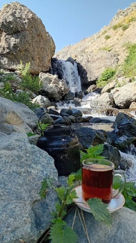 شاره‌که‌م دیوانده‌ره(کانال دیواندره): 📆 ئەمڕۆ یـەک‌شـەمـمـە🌾 25ی گەلاوێژ 2726ی کوردی🌾 25مرداد 1405ی هەتاوی🌾 16ی اوت 2026ی زایینی━━━━━━━━━━━━⇜ لە خەڵکەوە بۆ خە