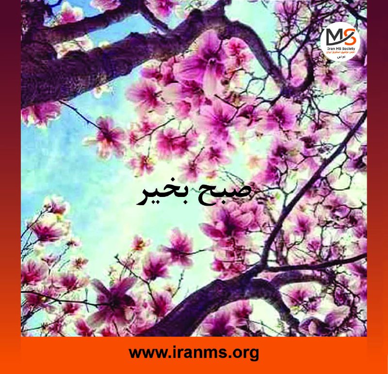 انجمن ام‌اس ایران: هر روز خود را با بِسْمِ‌اللَّـهِ‌الرَّحْمَـٰنِ‌الرَّحيمِ آغاز کنید.🔸امام حسن عليه‏ السلام: هر كس خدا را بندگى كند، خداون
