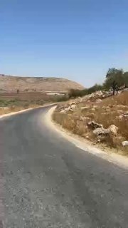 🎦 פציעה של 6 פלסטינים בעקבות תקיפה קרקעית של מתנחלים ציונים על מכונית