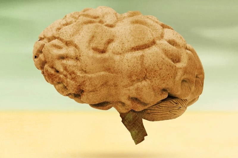 تازههای پژوهشی ،علمی: 🧠🍬 مطالعه جدید: قند خون بالا ممکن است روند پیر شدن مغز را تسریع کندپژوهشگران با بررسی دادههای بیش از ۲۱ هزار نفر دریافت
