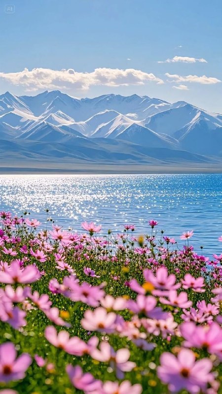 باران کویر: 🟢 زیبایی‌های طبیعت 😍🌍 فَتَبَارَكَ اللَّهُ أَحْسَنُ الْخَالِقِينَ🌦 #باران‌کویر☔️ @Barankavir🟢 زیبایی‌های طبیعت 😍🌍 فَتَبَا