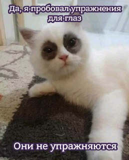 Советы о том, как сохранить зрение на долгие годы: https://lentach.media/m2Zrl