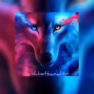🇹🇷 SOHBET KANALI 🇹🇷 Telegram Group Link