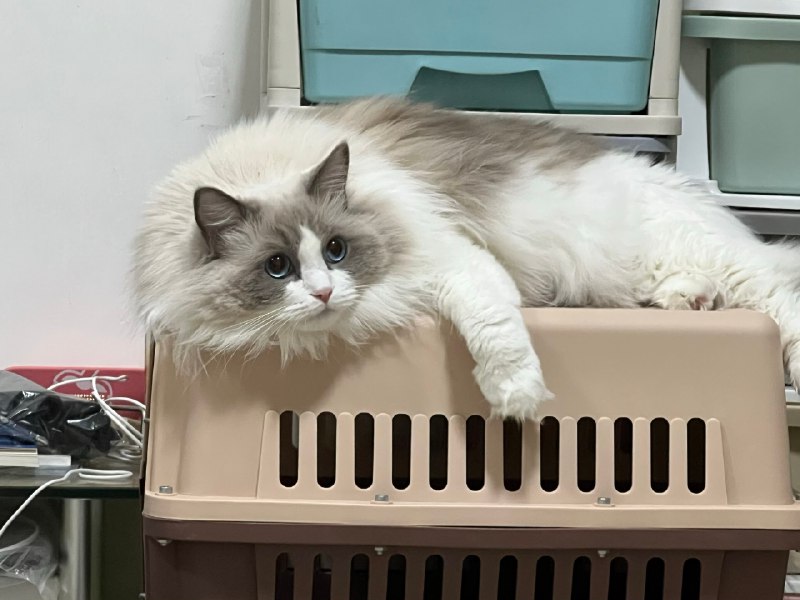 「用 ai解决 100个实际需求」输入自己的系列碎片化的资料，让ai分析这些资料之间的关联性和逻辑性，提出可能的主题和结构思路