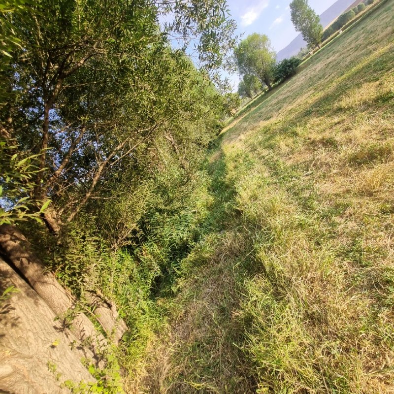 قره شیران کانال رسمی: زندگی بهمون اجازه نميده به گذشته برگرديم و کارای اشتباهمون رو درست کنيماما فرصت داده هر روزمونو بهتر از دیروز زندگی کنيم