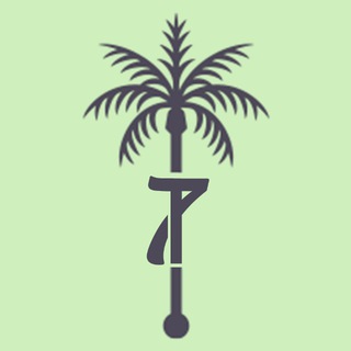 Telegram profile photo for PALM Dx7 Comments
