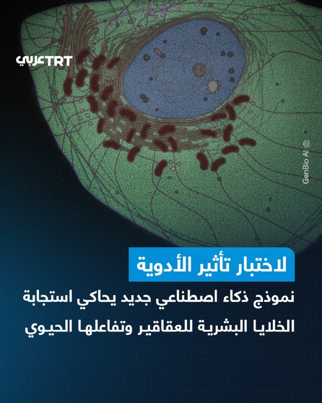 GenBio AI, חברת בינה מלאכותית אמריקאית, הודיעה ביום רביעי על השקת AIDO Cell, אותו תיארה כ"מודל העולמי" הראש…