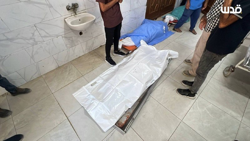 רשת חדשות ירושלים