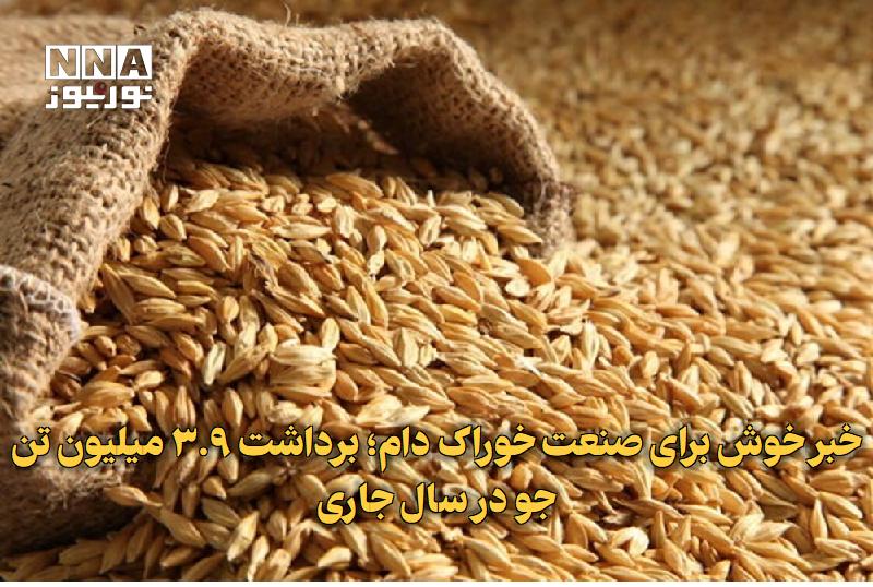 نورنیوز: ✅ خبر خوش برای صنعت خوراک دام؛ برداشت ۳.۹ میلیون تن جو در سال جاری🔹 معاون امور زراعت وزارت جهاد کشاورزی از برداشت ۳ میلی