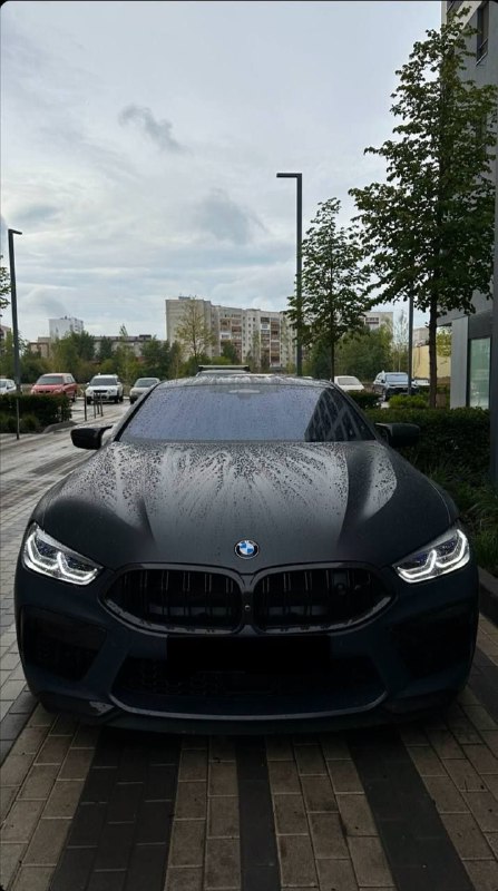 https://t.me/bmw_mpower_club