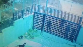 דחוף: מתנחלים תוקפים בית ליד מחסום אל-מורבה, דרומית לשכם.