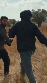 מתנחל ישראלי תוקף אוהד זר עם פלסטין במהלך מסיק הזיתים בכפר כפר מאליק, מזרחית לרמאללה, בגדה המערבית .
