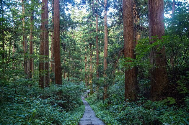 2025夏之旅：南東北兜風之旅（20250812-18）