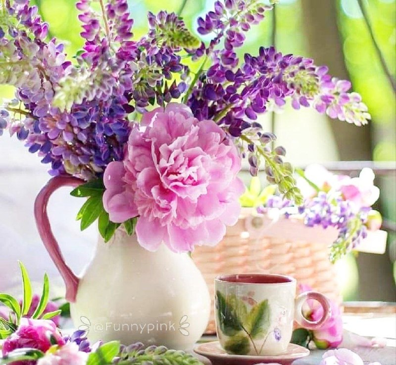 ๑۩۞ø¤º°سرای محبت °º¤ø۞۩๑: 🌸سلام صبحتون زیبا و پربرکت❤️امیدوارم امروزتون 🌸پر از زیبایی و امیـد❤️و دلتون سرشار از🌸مهـر و شـور زندگی باشه❤️امیـدوارم