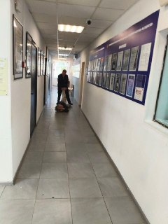 В Подмосковье полицейские увезли задержанную пенсионерку в багажнике. В отделе силовик схватил ее за ногу и потащил по коридоруВ подмосковных Мытищах полицейские задержали местную жительницу Екатерину Григорьеву и ее пожилую мать Елену Федоровну после того