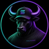 The Solana Bull