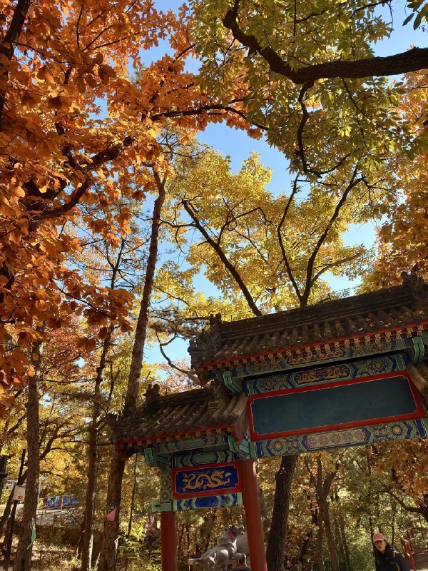 红螺寺赏秋最佳位置在橡树林红螺寺赏秋最佳位置在橡树林