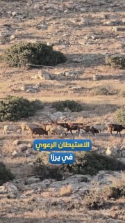 רשת חדשות ירושלים