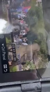 הדמוקרטים הישראלים אומרים כי ניסיון דקירה כוון למנהיג המפלגה יאיר גולן לאחר שאדם התקרב אליו וסכין גדולה נפל…