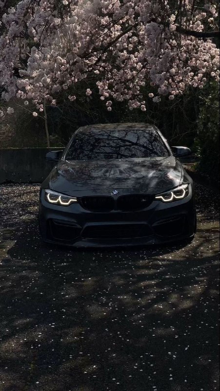 https://t.me/bmw_mpower_club