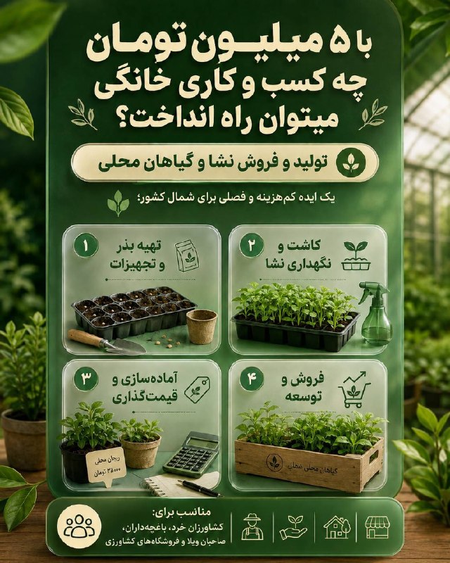 اخبار فارس: ♦️از یک سینی نشا تا رسیدن به مشتری ثابت 🌱🔹اگر بازار فروش درست پیدا بشه، پرورش نشا میتونه کمکم از یک کار کوچک خانگی به