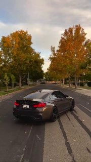 https://t.me/bmw_mpower_club