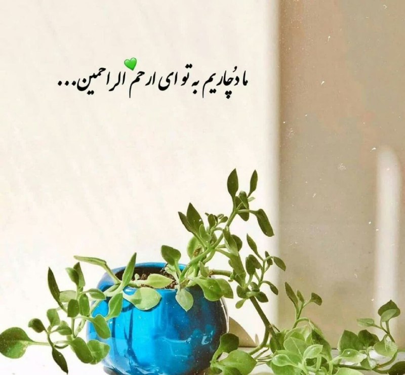 ڪانال مدافعان حـرم: مـا دچاریم بـه تـو ای ارحَمالراحمین...!🧡🌱#خدا را صدا بزن 📿 #نماز اول وقت🌐 @Iran_Iran🇮🇷 http://telegram.me/Iran_Iran