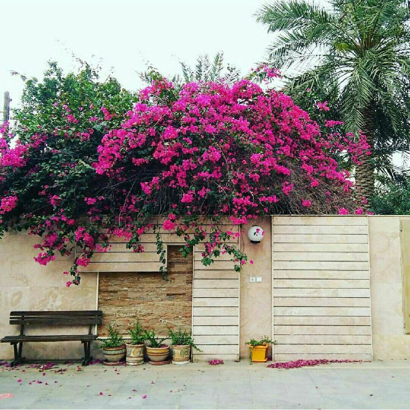فال قهوه,تاروت,آینه بینی,دعا☕: وقتی یه چیز بد پیش میادشما سه تا انتخاب دارید: اجازه بدید باور شما بشه اجازه بدید شما رو تباه کنه اجازه بدید شما رو تقوی