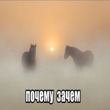 Сігма моггєр