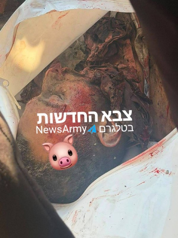 rose to 2 killed in the attack on the squad in Gaza City
