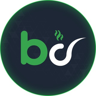 Betpipo Offical