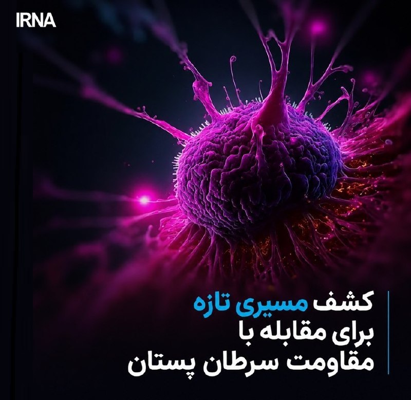خبرگزاری ایرنا: 🔸کشف مسیری تازه برای مقابله با مقاومت سرطان پستان🔹وبگاه سایتِکدِیلی در گزارشی آورده است که پژوهشگران در مطالعهای تازه