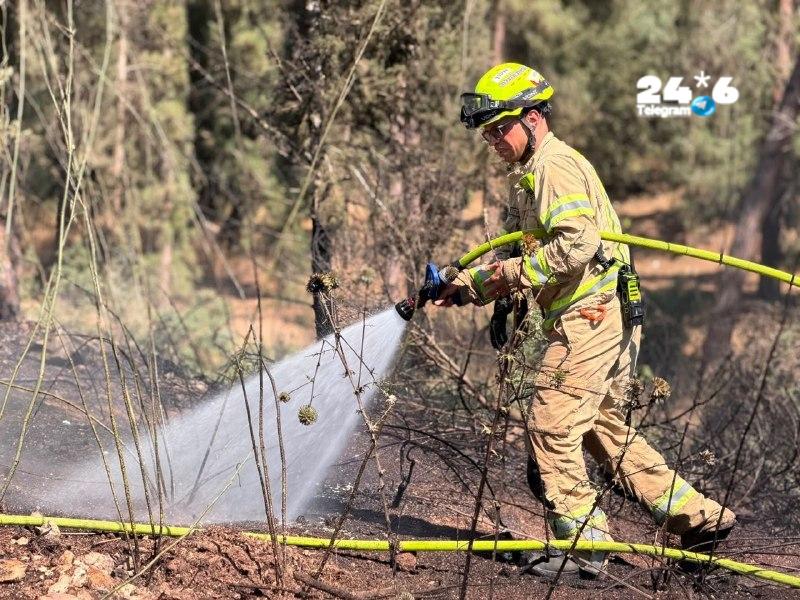 🇮🇱 שרפת היער סמוך לשמשית: הוחלט שלא לפנות בינתיים את היישוב, אך בשל העשן הרב באזור, התושבים מתבקשים להסתג…