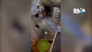 שני חשודים נעצרו בראשון לציון: 70 ק"ג קנאביס במעבדות סמים 500 מטר מתחנה