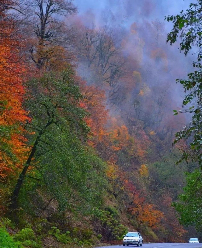 باید بدونی: پاییز از رگ گردن به شما نزدیک تر است ..صبح بخیر @bayadbedoni