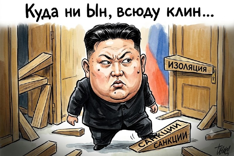 Haifainfo.com