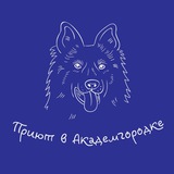 Приют Академгородка