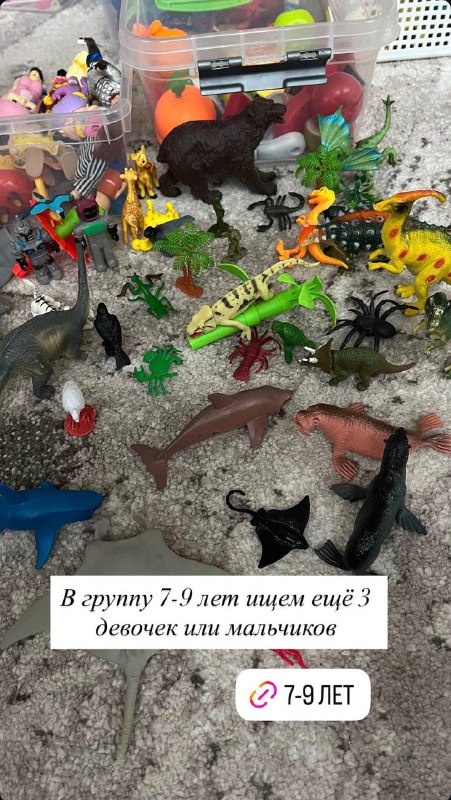 Изображение 7