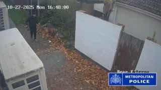 🇬🇧 Afghan immigrant Daoud Safi, who murdered Wayne Broadhurst while walking his dog, moments after attacking his landlord and stabbing a 14-year-old boy, received no prison sentence.