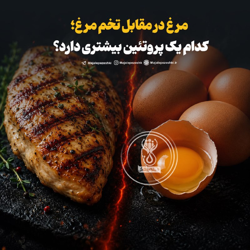 مجله پزشکی: مرغ در مقابل تخم مرغ؛ کدام یک پروتئین بیشتری دارد؟ ◽️مرغ و تخم مرغ منابع پروتئینی محبوبی هستند که سرشار از مواد مغذی مان