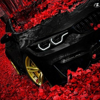 Cars photos Telegram Group Link