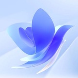 روانشناسی | موفقیت