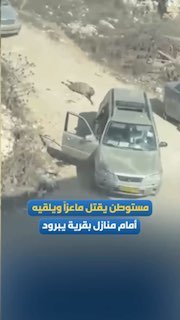 A blind hatred that even animals are not spared from.