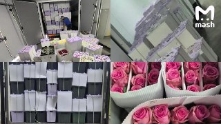 Хитрющие цветочные бизнесмены из Армении попытались обойти запрет на поставку их продукции в РФ с помощью Ирана — получали там лицензии и продавали свои букеты под видом ближневосточных.Странно увеличенный объём иранских цветов заметили в Россельхознадзоре