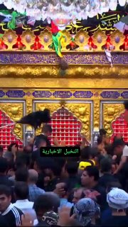 🇮🇶 חדשות אל נחיל 🇮🇶