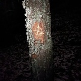 Пристанище израненных душ