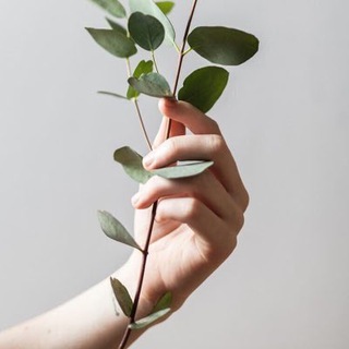استفسارات ابها وخميس مشيط
