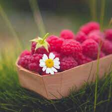 استغفار: ❣موفقيتوقتى اتفاق ميفتد كهروياهاتان از بهانه هاتانبزرگتر باشند......🍃🍃🍃‍‌⛲→ @astakhfar00000 ┄┅❥❥❥🌼🔮🌼❥❥❥┅┄