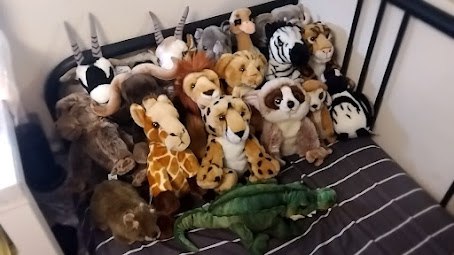 苦哈哈旅行社二十周年紀念~ Gaint baby Africa tour